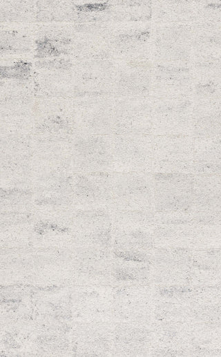 Safavieh Harvest HVT107G Silver / Grey Area Rug main image