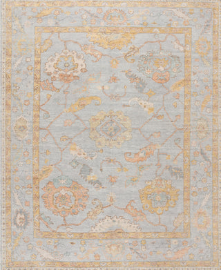 Safavieh Izmir IZM181M Light Blue / Gold Area Rug main image