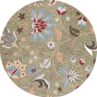 Safavieh Jardin JAR256Y Green / Blue Area Rug main image