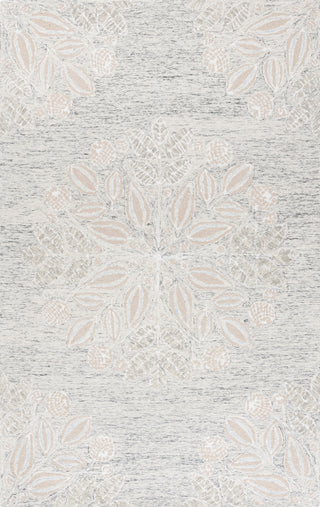 Safavieh Jardin JAR738F Grey / Ivory Area Rug main image