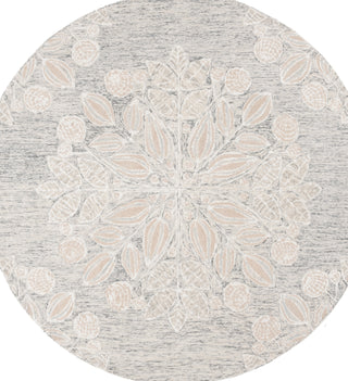 Safavieh Jardin JAR738F Grey / Ivory Area Rug Round