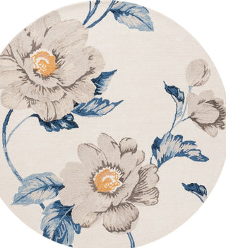 Safavieh Jardin JAR739A Ivory / Grey Area Rug main image