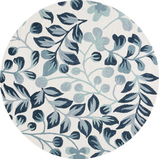 Safavieh Jardin JAR754M Ivory / Blue Area Rug main image