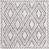 Safavieh Jericho Shag JER104 Ivory / Black Area Rug