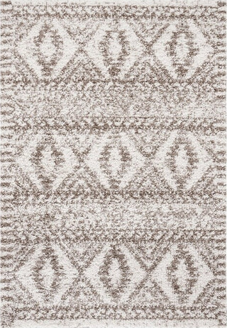 Safavieh Jericho Shag JER106 Taupe / Ivory Area Rug