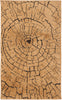 Safavieh Kashmir KAS115 Camel / Brown Area Rug main image