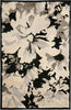 Safavieh Kashmir KAS118 Black / Ivory Area Rug