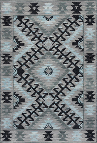 Safavieh Kilim KLM330F Grey / Black Area Rug main image