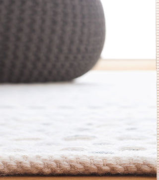 Safavieh Kilim KLM954K Ivory / Light Blue Area Rug Detail