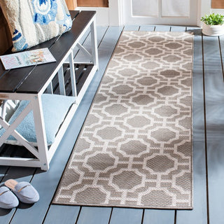 Safavieh Lakeside LAK247 Beige / Taupe Area Rug Room Scene Feature