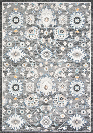 Safavieh Liberty LIB743 Dark Grey / Ivory Area Rug