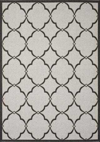 Safavieh Linden LND125 Light Grey / Charcoal Area Rug