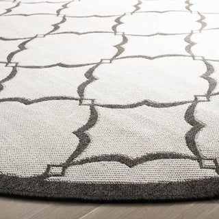 Safavieh Linden LND125 Light Grey / Charcoal Area Rug