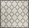 Safavieh Linden LND125 Light Grey / Charcoal Area Rug