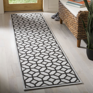 Safavieh Linden LND127 Light Grey / Charcoal Area Rug