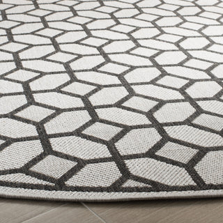 Safavieh Linden LND127 Light Grey / Charcoal Area Rug