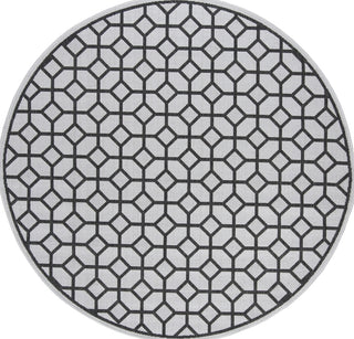 Safavieh Linden LND127 Light Grey / Charcoal Area Rug