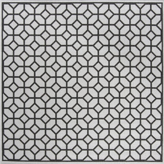 Safavieh Linden LND127 Light Grey / Charcoal Area Rug