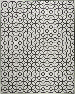 Safavieh Linden LND127 Light Grey / Charcoal Area Rug