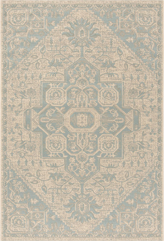 Safavieh Linden LND138K Aqua/Cream Area Rug main image