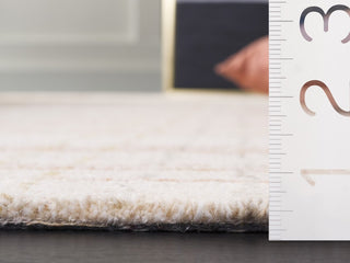 Safavieh Metro MET501P Ivory / Rust Area Rug Detail