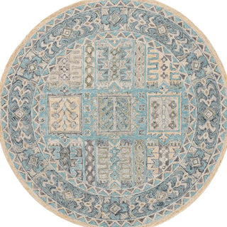 Safavieh Metro MET753J Teal / Blue Area Rug Round