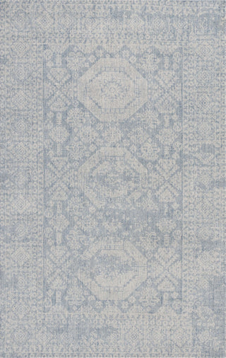 Safavieh Maharaja MHJ302M Blue Area Rug main image