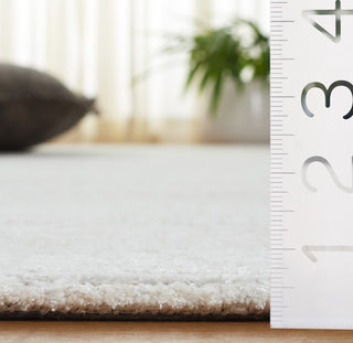 Safavieh Mirage MIR375F Ivory / Grey Area Rug Detail