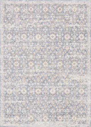 Safavieh Moondust MND642M Blue / Ivory Area Rug main image