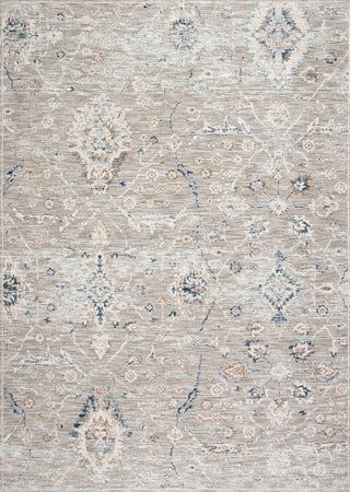 Safavieh Moondust MND644F Grey / Ivory Area Rug main image