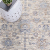 Safavieh Moondust MND645A Ivory / Blue Area Rug Detail