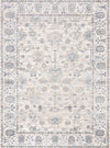 Safavieh Moondust MND645A Ivory / Blue Area Rug main image