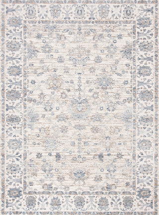 Safavieh Moondust MND645A Ivory / Blue Area Rug main image