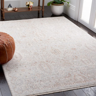 Safavieh Marmara MRM322 Grey / Blue Rust Area Rug