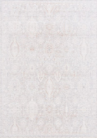 Safavieh Marmara MRM322 Grey / Blue Rust Area Rug