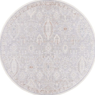 Safavieh Marmara MRM322 Grey / Blue Rust Area Rug