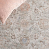 Safavieh Mason MSN104F Grey / Ivory Rust Area Rug Detail