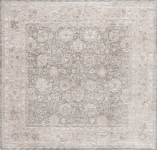 Safavieh Mason MSN112B Beige / Dark Grey Ivory Area Rug Square