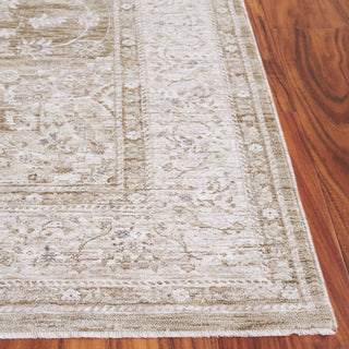 Safavieh Mason MSN114B Beige / Green Area Rug Detail