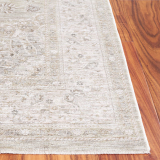 Safavieh Mason MSN114F Light Grey / Green Area Rug Detail