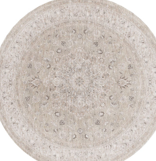 Safavieh Mason MSN114F Light Grey / Green Area Rug Round