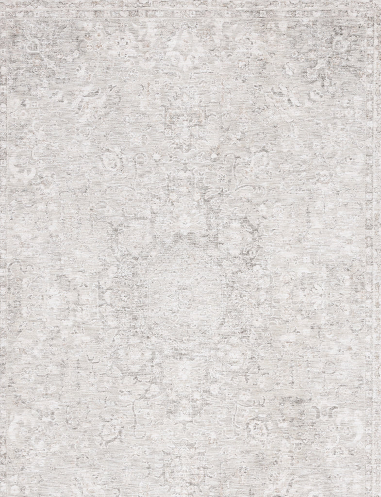 Safavieh Mason MSN116B Beige / Dark Grey Area Rug main image