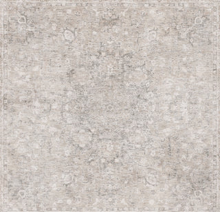 Safavieh Mason MSN116B Beige / Dark Grey Area Rug Square