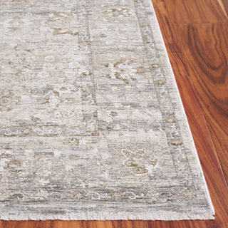 Safavieh Mason MSN117B Beige / Dark Grey Area Rug Detail