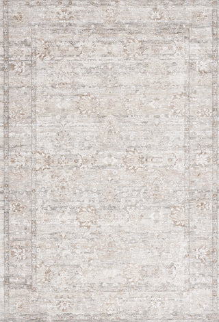 Safavieh Mason MSN117B Beige / Dark Grey Area Rug main image