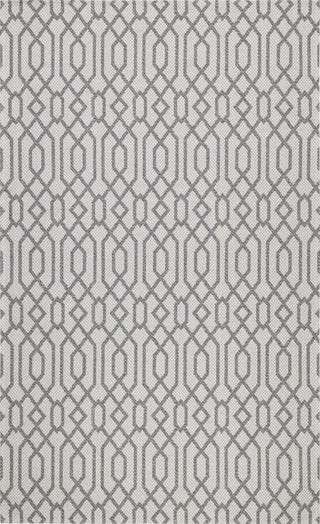 Safavieh Martha Stewart MSR421 Silver / Grey Area Rug 