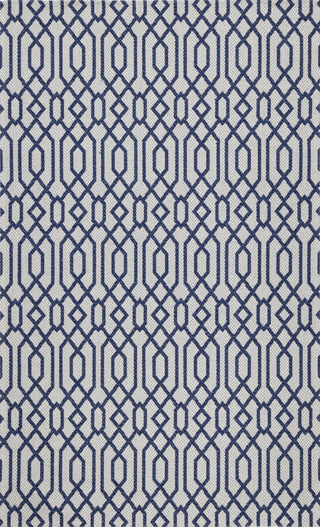 Safavieh Martha Stewart MSR421 Blue / Grey Area Rug main image