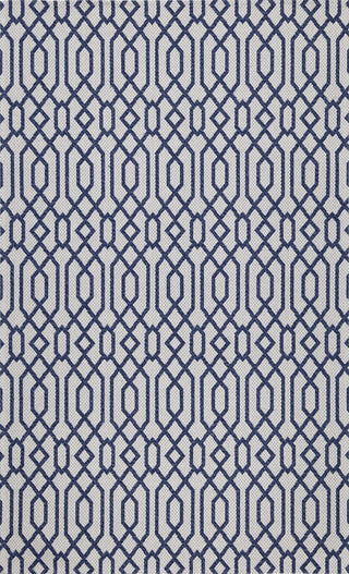Safavieh Martha Stewart MSR421 Blue / Grey Area Rug 