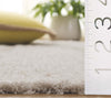 Safavieh Montauk MTK322B Ivory / Beige Area Rug Detail