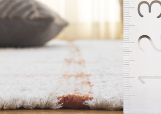 Safavieh Montauk MTK322P Ivory / Rust Area Rug Detail